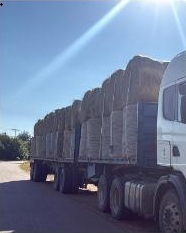 Truck delivering eragrostis bales and horse hay to a Pretoria yard